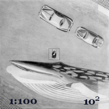 1:100